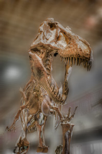 Tyrannosaurus_Raich